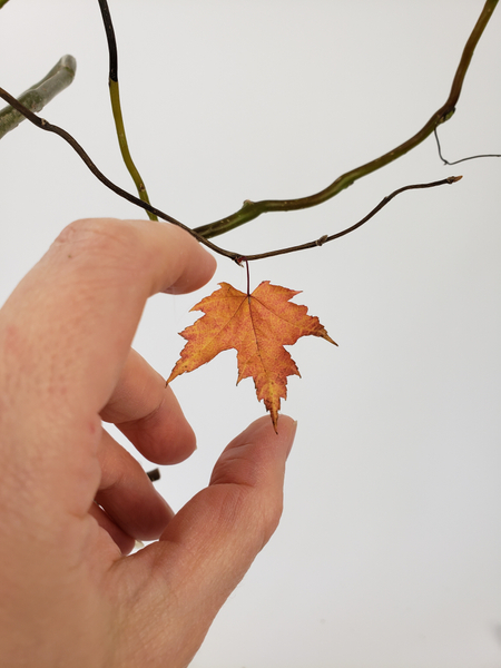 Glue in dried autumn leaves