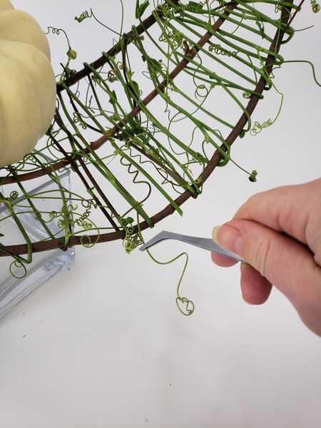 Manipulate the vines with tweezers into position