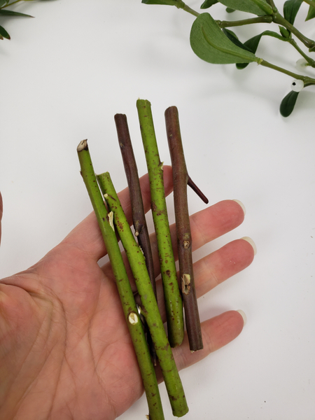 Cut twigs to make up the stems