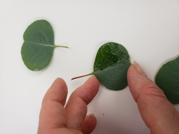 Cover the first leaf half in floral glue