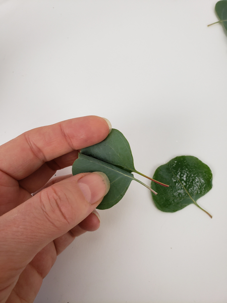 Fold open the leaves