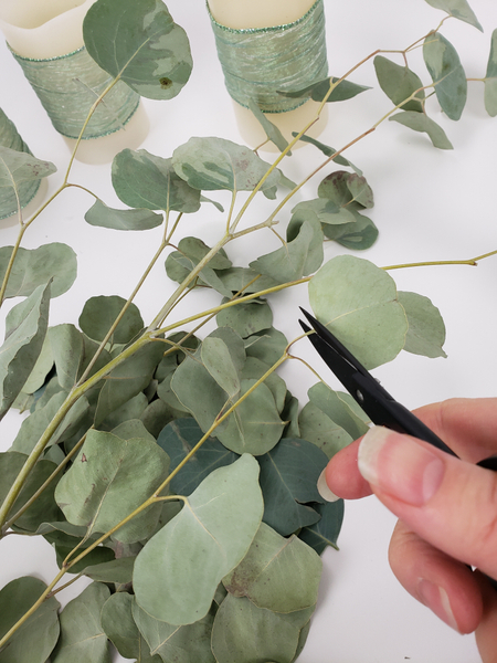 Snip eucalyptus leaves from the stem