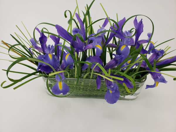 Blue irises in a ice blue sustainable floral design