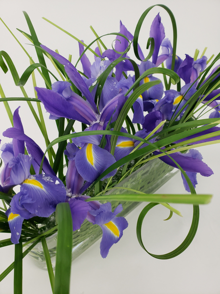 Iris and woven grass to create a fast and easy zero waste floral design for decor styling