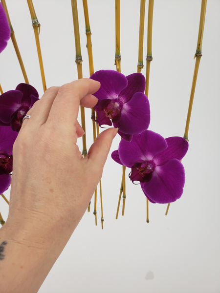 Place the flowers in the water tubes so that they remain hydrated