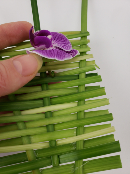 Slip the orchid stem through the panel