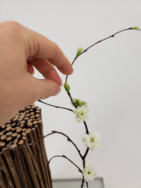 Glue in the Kalanchoe flowers