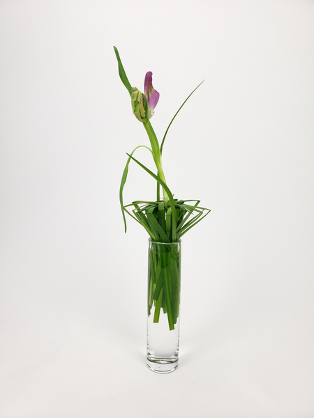 How to arrange a tulip in a vase