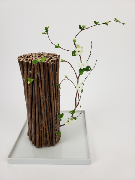 Sustainable floral design with succulents and twigs