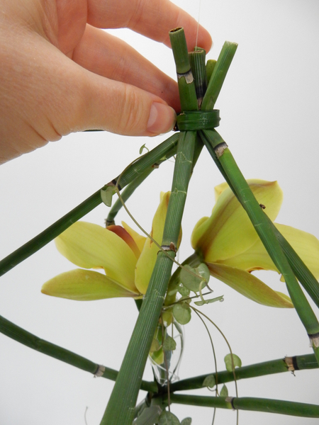 And press the equisetum flat to secure