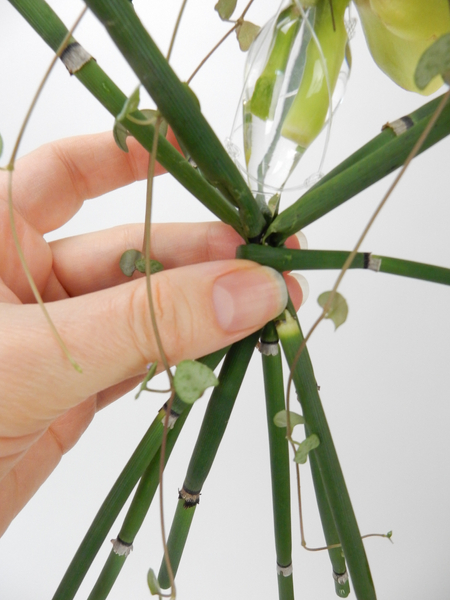 Cover the elastic band by wrapping a stem of wired equisetum around the area
