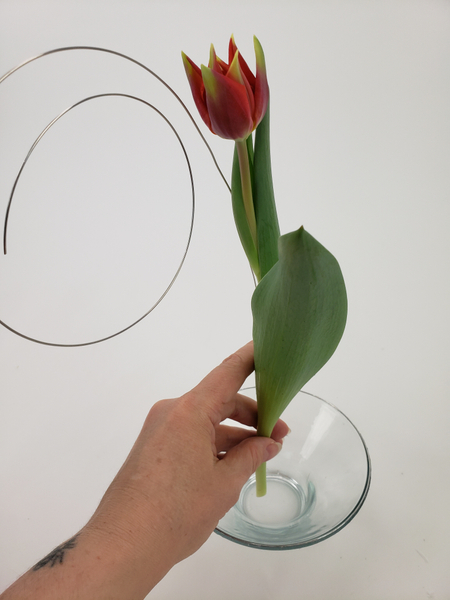 Measure the tulip against the wire to see where to bend it