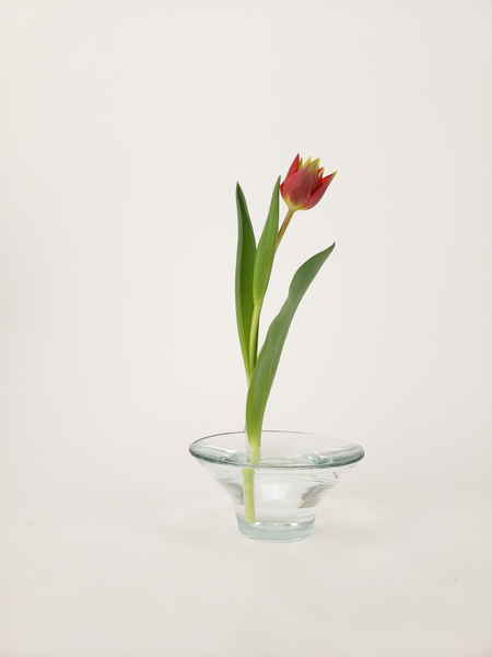 Minimalist flower arranging ideas for a meditation space