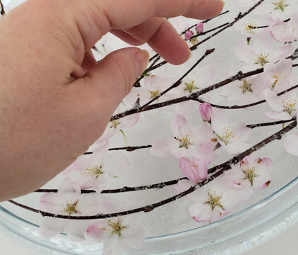 A Sticky-tape way to keep blossom petals from dropping