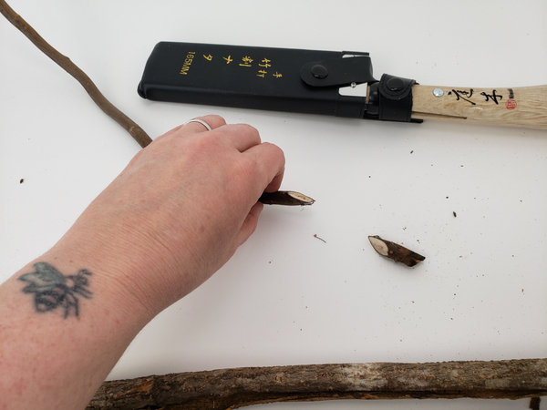 Cut dried twigs at a sharp angle to connect the bark rolls