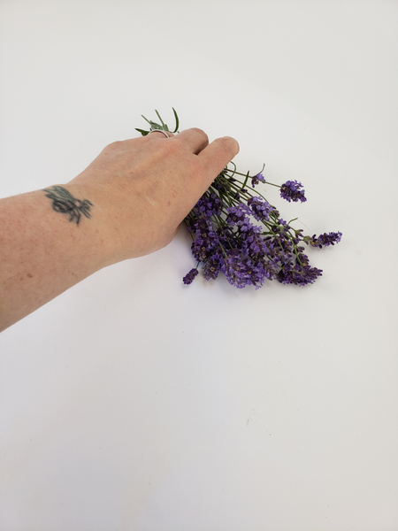 Dried Lavender Stems  Lavender Dried In Stem Bunches – Willow Top Gardens