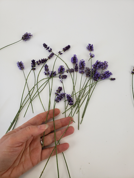 Set the stems on your working surface and let them dehydrate for a few minutes