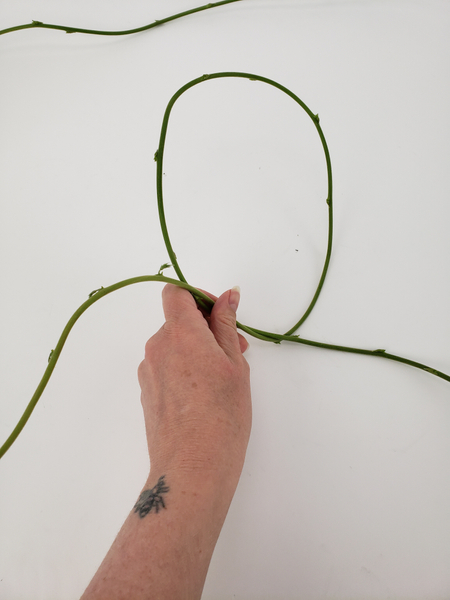 Loop the first weaving stem to begin weaving a wreath