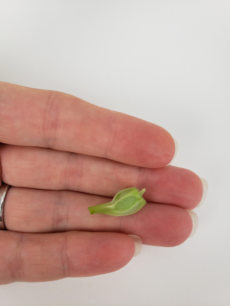 This gives you the perfect little body for your hornet This gives you the perfect little body for your hornet