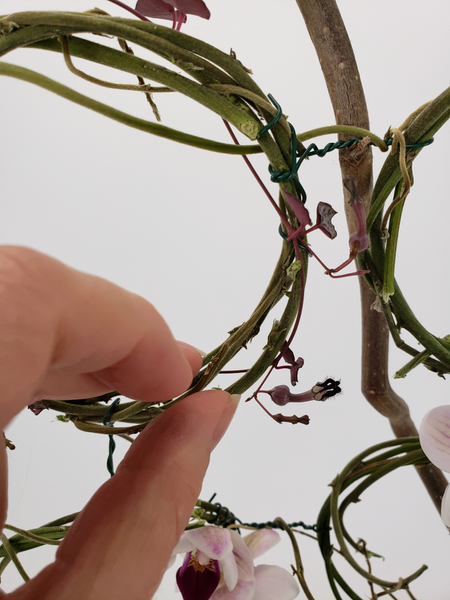 Weave and drape a few rosary vines around the wreaths