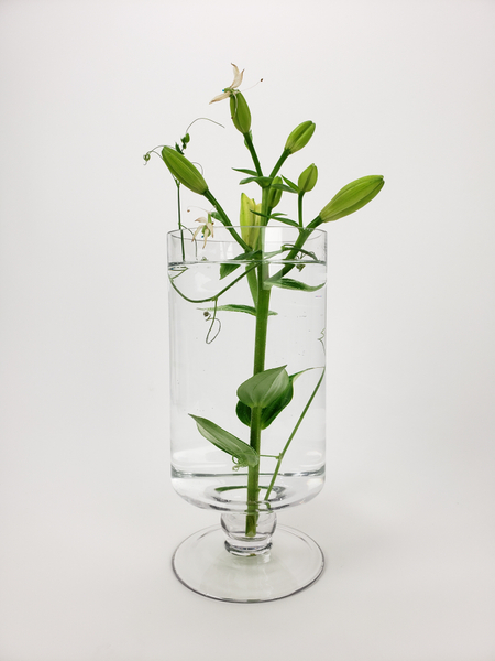 A contemporary minimalist semi submerged lily flower arrangement for summer