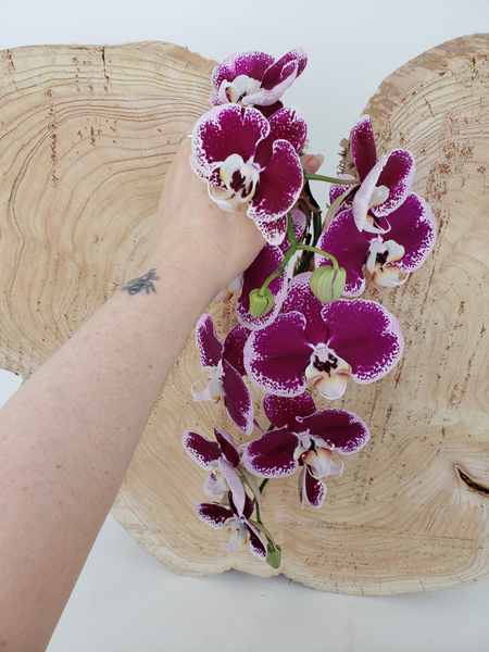 a cascade of flower petals on wire or fishing line