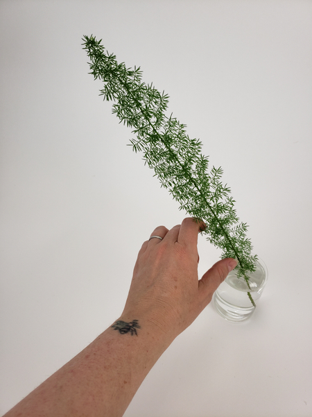 Place the foxtail in a water filled bud vase