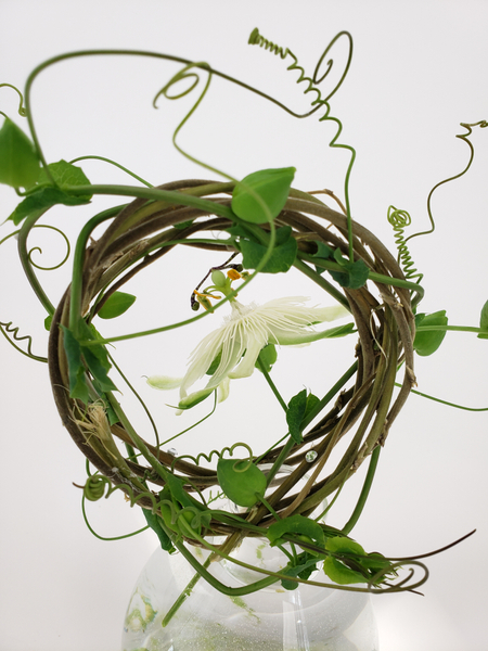 How to wind a wreath out of vines