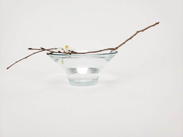 Minimalist floral decoration for mindful spaces
