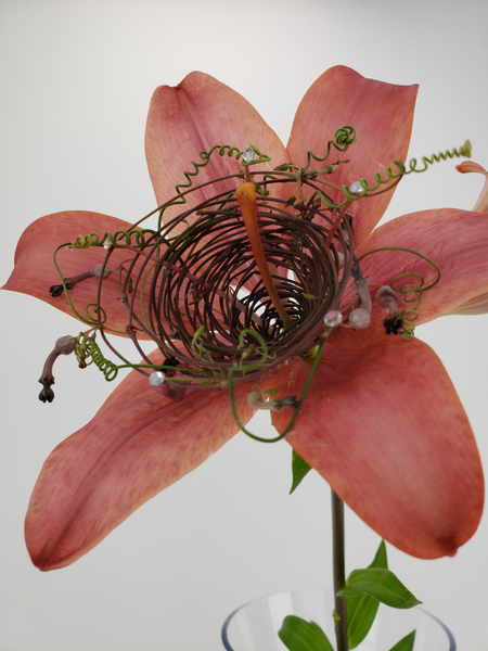 Delicate weaving tutorials for flower arrangers