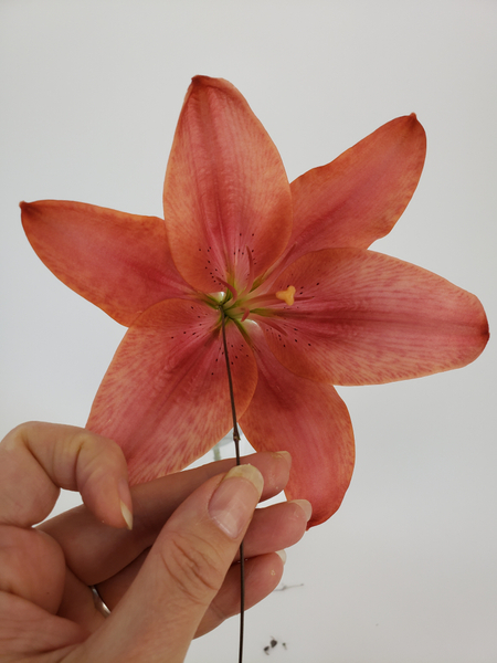 Glue the vine end deep into the lily flower