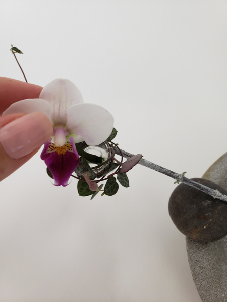 Place the orchid deep into the vase