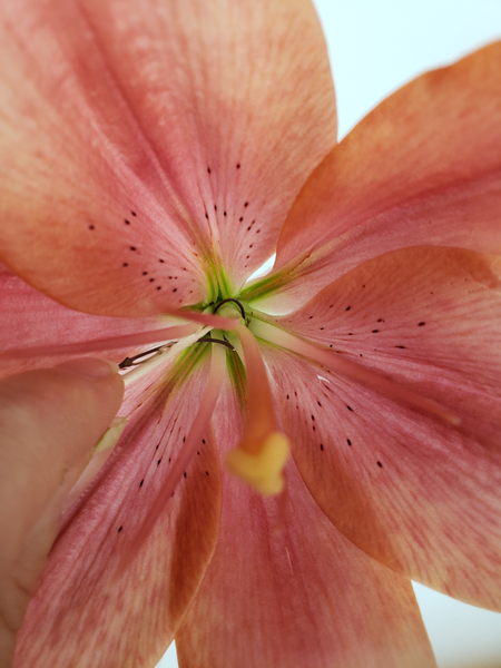 Press the weave deep into the flower with a bamboo skewer