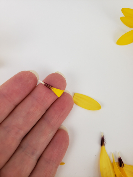 Cut two petals in half Cut two petals in half