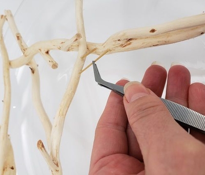 Stick it out… the creative spirit version