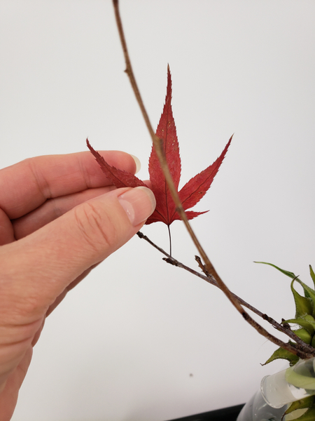 Glue in dried Autumn leaves