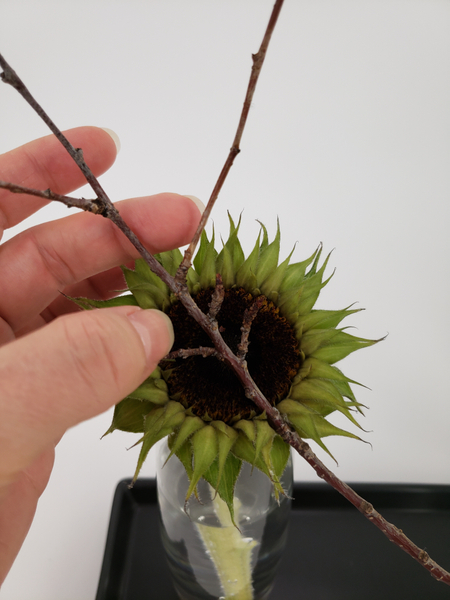 Place a pretty twig to cross over the sunflower