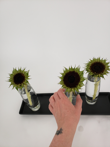 Place the sunflowers in the vases