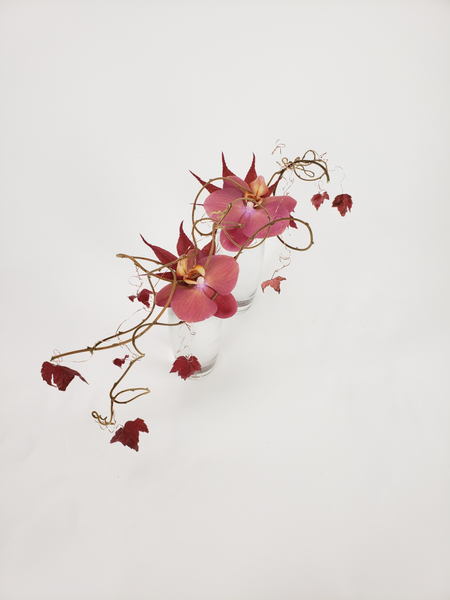 Dangling Autumn leaves in a clean minimalist flower arrangement.