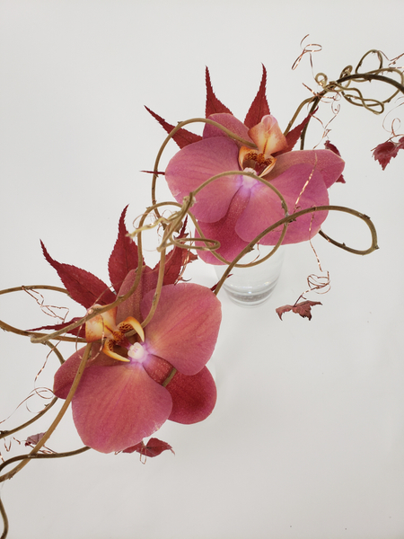 Phalaenopsis orchids in a flower arrangement