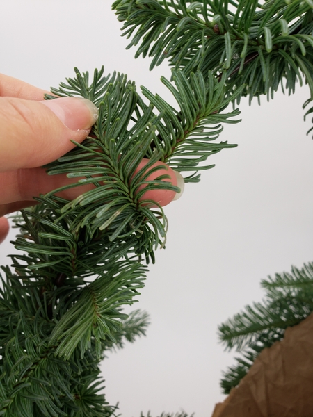 Weave this branch around the wire to cover it completely. 