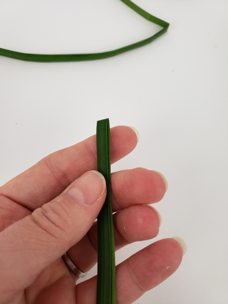 Fold a blade of grass in half