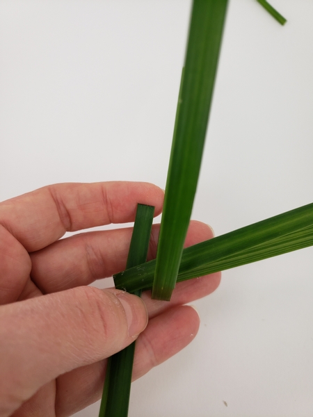 Fold a third blade of grass in half