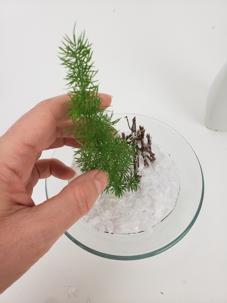 Slip the seal over the fern stem and secure it in the water tube