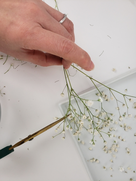 Snip some gyp flowers into the display container