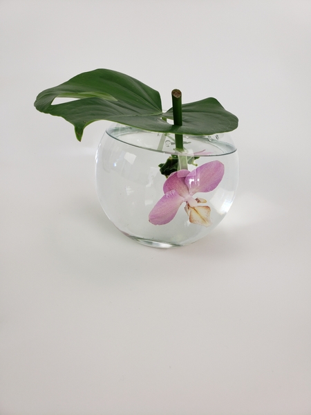 Arranging flowers under water in a glass vase