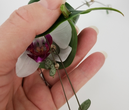 Rolled leaf shelter for a lean-in-closer tiny bud vase design