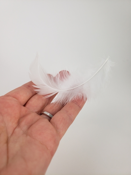 Creating an elegant curve in a feather