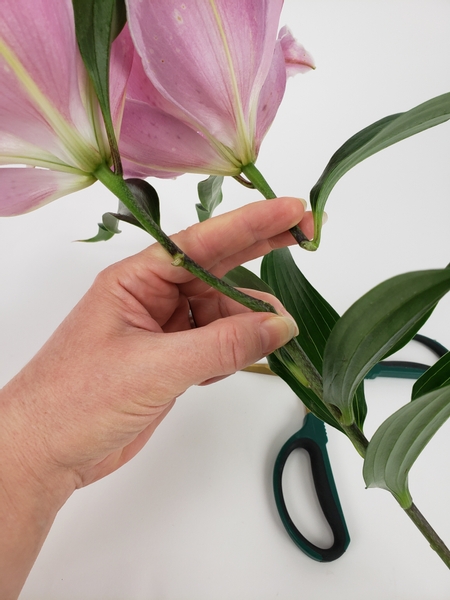 Cut away flowers from a lily stem to create one tall flower