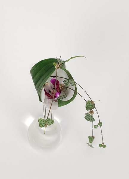 I tip my (flower) cap flower arrangement by Christine de Beer